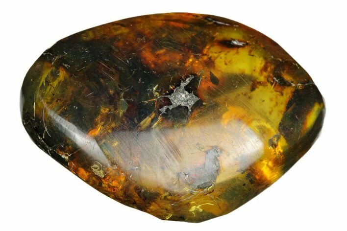 Polished Chiapas Amber ( g) - Mexico #180419